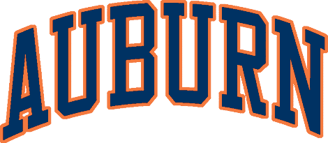 Auburn Tigers 1979-1996 Wordmark Logo iron on transfers for T-shirts